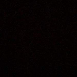 Meet your Posher, Starr